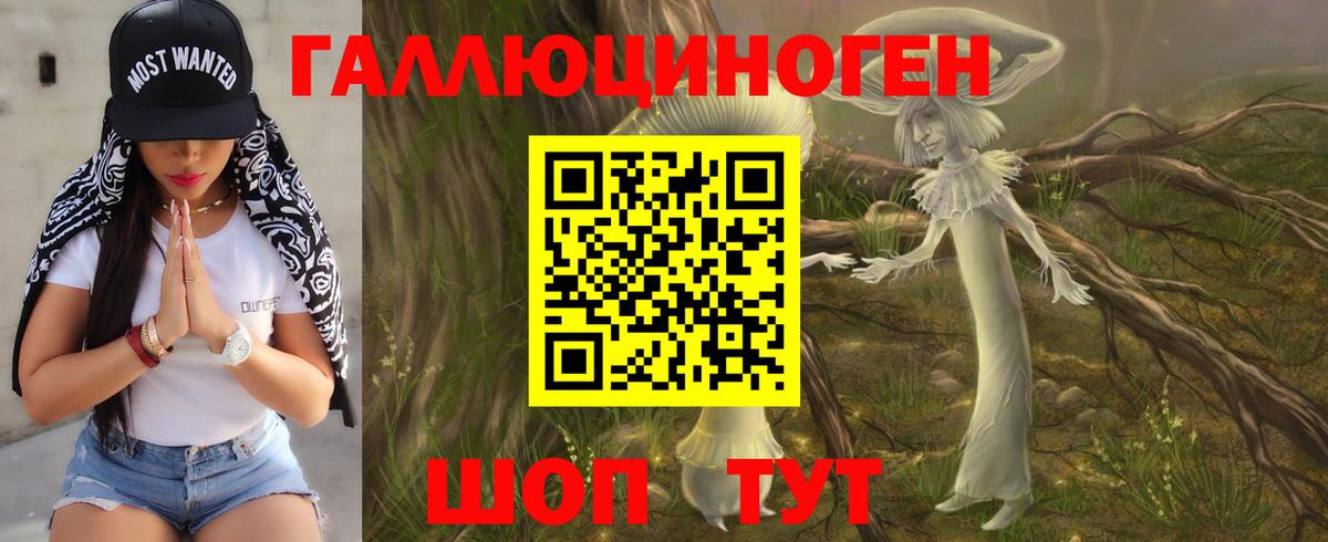 Галлюциногенные грибы Psilocybine cubensis Железногорск