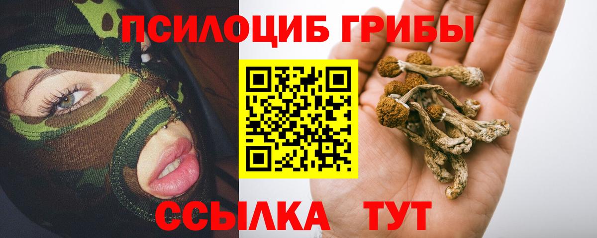 Железногорск  Псилоцибиновые грибы ЛСД  Вход с VPN 